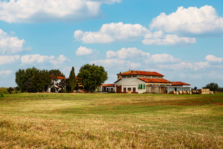 Typical rural landscape and peasant houses in Istria, Croatia.の写真素材