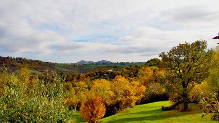 Autumn Landscape with Colorful Trees and Hills in the Backgroundの写真素材