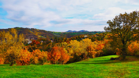 Autumn landscape with colorful forest and meadow on hillside.の写真素材