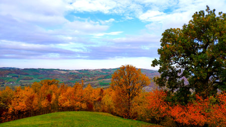 Autumn landscape of Tuscany, Italy. Colorful autumn trees on the hills.の写真素材