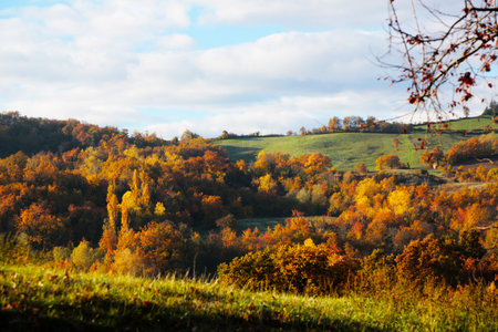 Autumn landscape with colorful trees on hills and blue sky with cloudsの写真素材