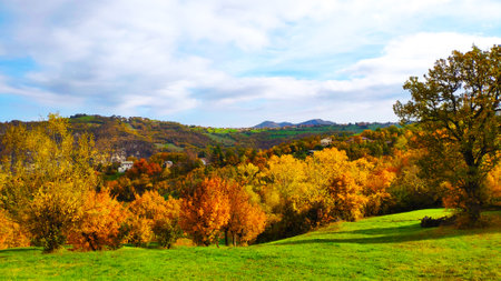 Autumn landscape with colorful trees on hillside in Transylvania, Romaniaの写真素材