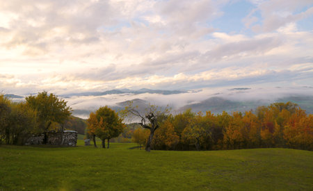 Autumn landscape with colorful trees and foggy mountains in the backgroundの写真素材