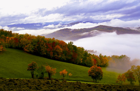 Autumn landscape with fog in the mountains and colorful trees in the foregroundの写真素材