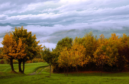 Autumn landscape in the mountains. Foggy morning in the mountains.の写真素材