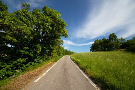 country road in summer with green grass and blue sky, nature seriesの写真素材