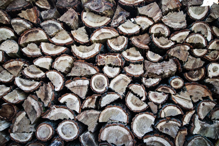Firewood stacked in a woodpile. Close-up.の写真素材