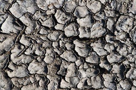 Dry cracked earth background. Global warming, climate change concept.