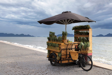 Wooden cart with fruits and vegetables on the beach in Thailand.