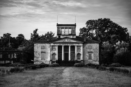Abandoned building in the park. Black and white photo.の写真素材