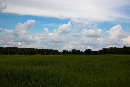 green field and blue sky with white clouds, beautiful photo digital pictureの写真素材