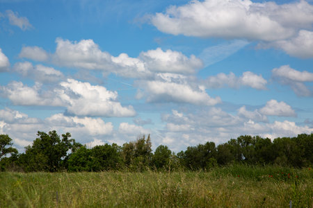 summer landscape with green meadow, trees and clouds on blue skyの写真素材
