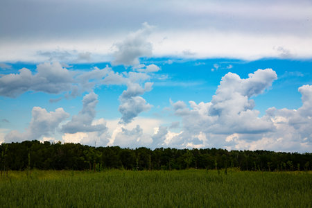Clouds in the blue sky over a green meadow in summerの写真素材
