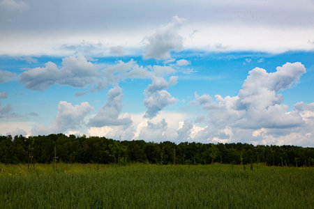 Clouds in the blue sky over the field. Landscape.の写真素材