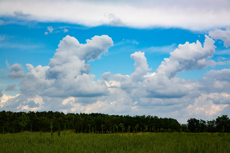 clouds in the blue sky over a green meadow in summerの写真素材
