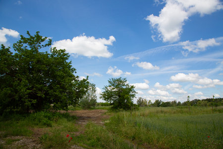 Summer landscape with green grass, blue sky and white clouds on a sunny dayの写真素材