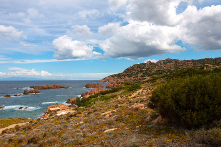 Coast of the Mediterranean Sea, Costa Brava, Catalonia, Spainの写真素材