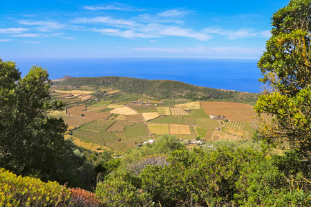 Aerial view of La Palma, Canary Islands, Spainの写真素材