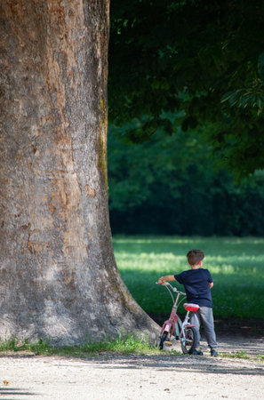 Little boy riding a bicycle in the park on a sunny summer dayの写真素材