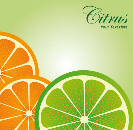 slices orange and lemon over green white background. illustrationのイラスト素材