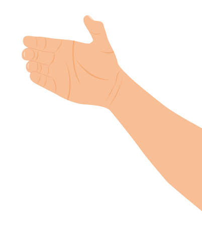 hand holding over white background. vector illustrationのイラスト素材