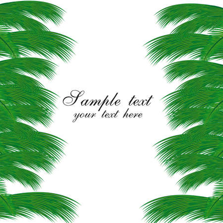 palms leaves over white background. vector illustrationのイラスト素材