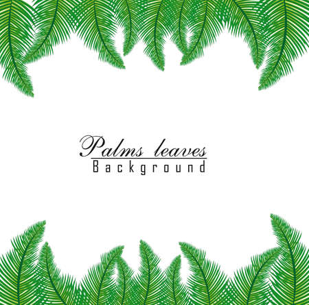 palm leaves over white background. vector illustrationのイラスト素材