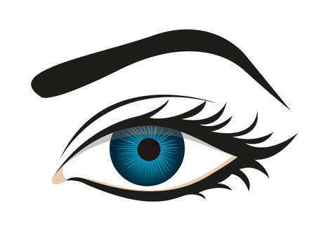 detailed eye lashes and eyebrows, vector illustrationのイラスト素材