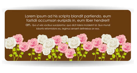 Card with colorful roses, vector illustrationのイラスト素材