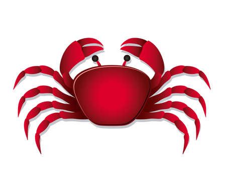 Illustration of crab, isolated on white background,  illustrationのイラスト素材