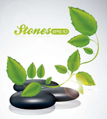 illustration of black stones with green leaves isolated on white background, vector illustrationのイラスト素材