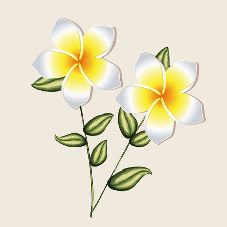 orchid design over pink background illustration のイラスト素材