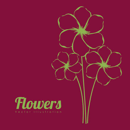 flowers design over purple  background vector illustration のイラスト素材
