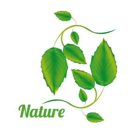 nature design over white background vector illustration のイラスト素材