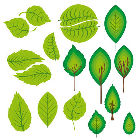 nature design over white background vector illustration のイラスト素材