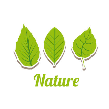 nature design over white background vector illustration のイラスト素材