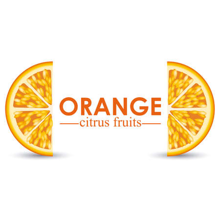 orange citrus fruit  over white background vector illustration のイラスト素材