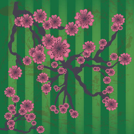 flowers design over lineal background vector illustrationのイラスト素材