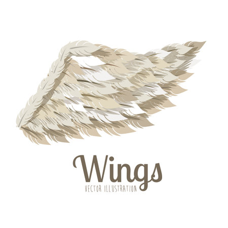 wings design over white background vector illustrationのイラスト素材