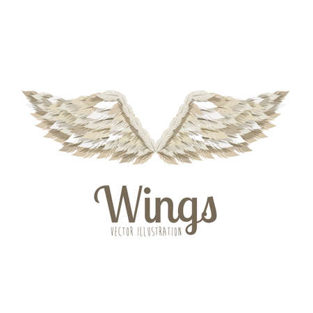 wings design over white background vector illustrationのイラスト素材