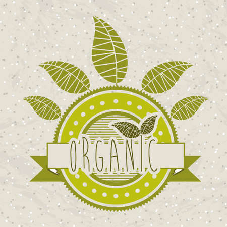 nature design over pattern background vector illustration のイラスト素材