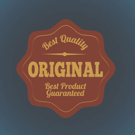 original seal over gray  background vector illustration のイラスト素材