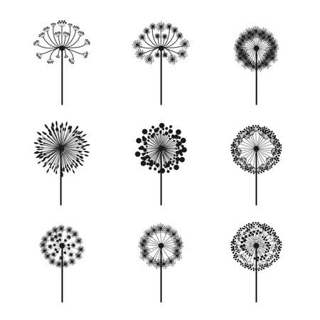 flowers design over white background vector illustration  のイラスト素材