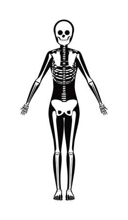 medical dsign over white  background vector illustration   のイラスト素材