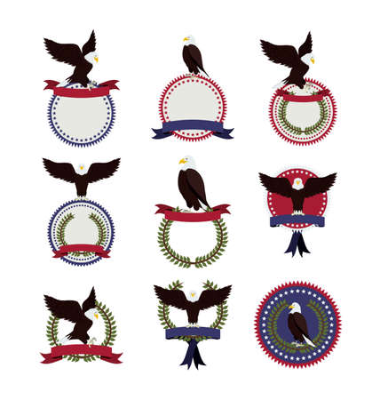 eagle design over white  background vector illustrationのイラスト素材