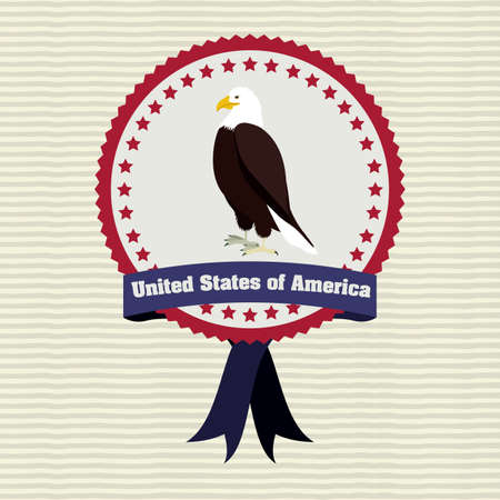 usa design over  white background vector illustration のイラスト素材