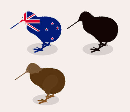 New zealand design over white background, vector illustrationのイラスト素材