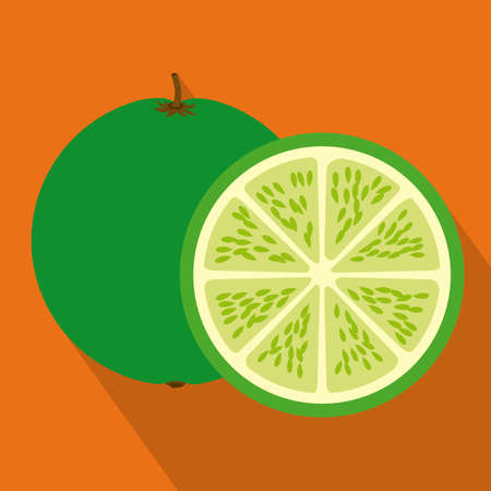 Fruits design over orange background, vector illustrationのイラスト素材