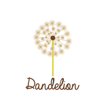 Flowers design over white background, vector illustrationのイラスト素材