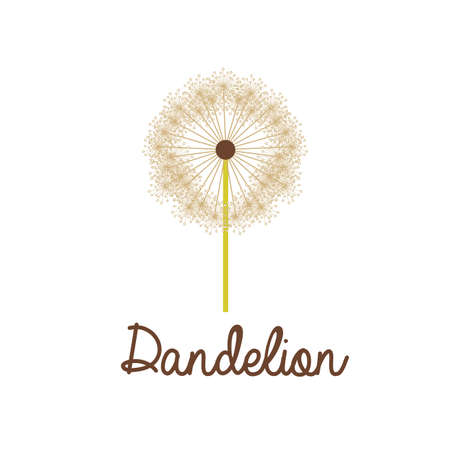 Flowers design over white background, vector illustrationのイラスト素材